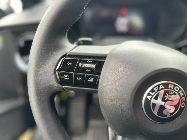 Alfa Romeo Junior view 12