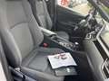 Toyota C-HR 125H Active Blanc - thumbnail 11
