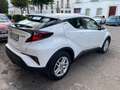 Toyota C-HR 125H Active Blanc - thumbnail 6