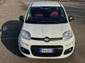 Fiat Panda 0.9 TwinAir Turbo Natural Power Lounge Bianco - thumbnail 8
