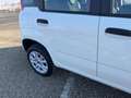 Fiat Panda 0.9 TwinAir Turbo Natural Power Lounge Bianco - thumbnail 11