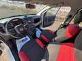 Fiat Panda 0.9 TwinAir Turbo Natural Power Lounge Bianco - thumbnail 10