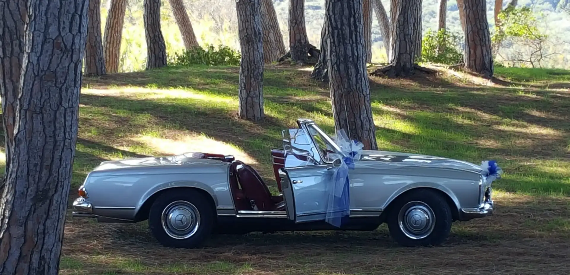 Mercedes-Benz SL 230 - 2
