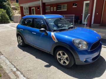 COUNTRYMAN ONE D One