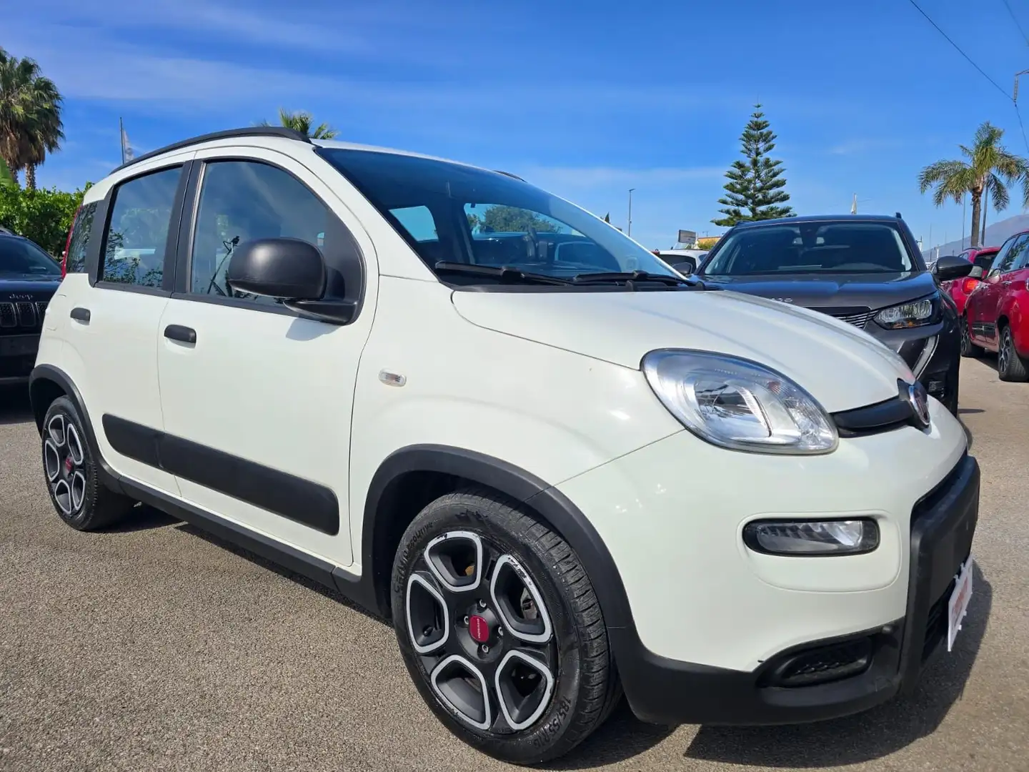 Fiat Panda 1.0Hybrid CITY LIFE FULL OPT Bianco - 2