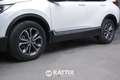 Honda CR-V 2.0 HEV Lifestyle Navi AWD e-CVT Bianco - thumbnail 4
