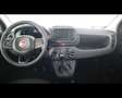 Fiat Panda 1.0 FireFly Hybrid Rot - thumbnail 14