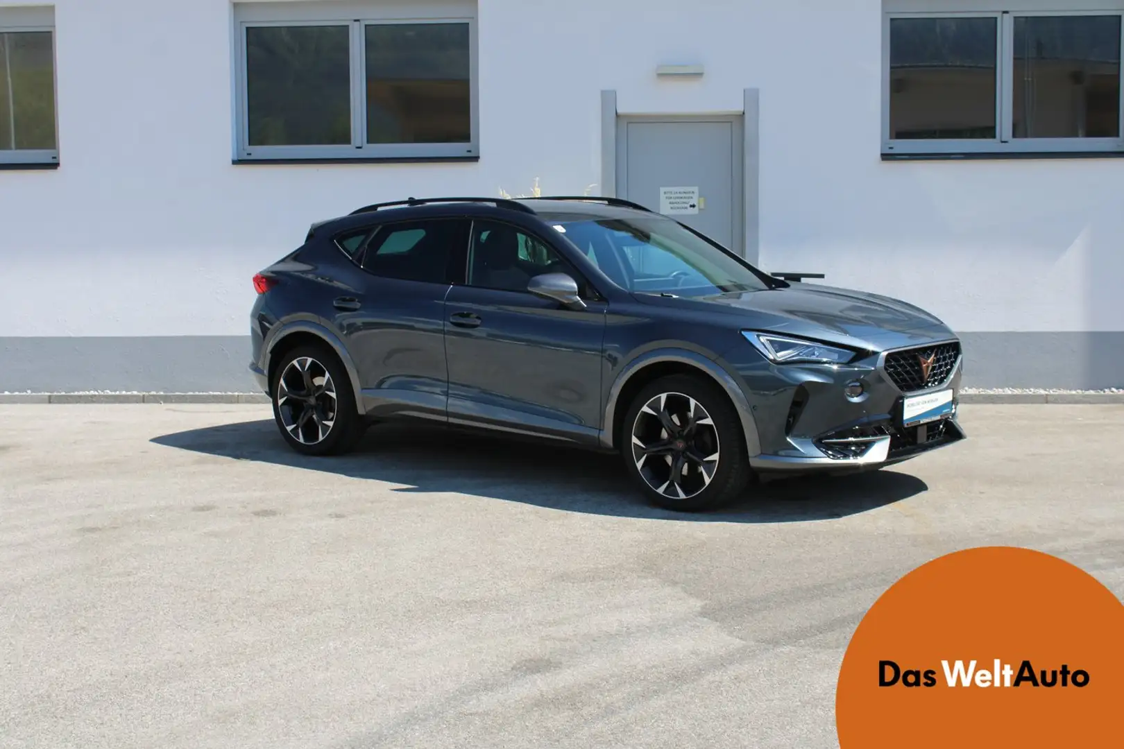 CUPRA Formentor 2.0 TDI 150 PS DSG 4Drive Gris - 1