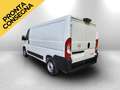 Opel Movano L2H1 2.2d 120cv Telecamera post PRONTO Blanco - thumbnail 7
