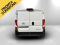 Opel Movano L2H1 2.2d 120cv Telecamera post PRONTO Blanco - thumbnail 6