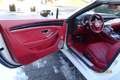 Bentley Continental GTC W12 Mulliner Weiß - thumbnail 10