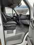 Mercedes-Benz Sprinter II Kasten 313 CDI Blanco - thumbnail 13