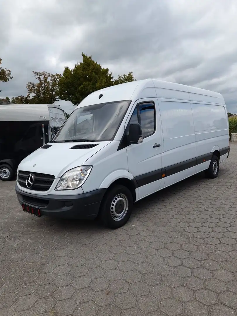 Mercedes-Benz Sprinter II Kasten 313 CDI Blanc - 1