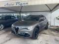 Alfa Romeo Stelvio Stelvio 2018 2.2 t Q4 190cv auto Grigio - thumbnail 1