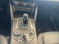 Alfa Romeo Stelvio Stelvio 2018 2.2 t Q4 190cv auto Grijs - thumbnail 16