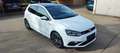 Volkswagen Polo GTI, LED, Paoramadach, Getriebeschaden. Weiß - thumbnail 4