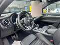 Alfa Romeo Stelvio Stelvio 2023 2.2 t Veloce Q4 210cv PROM FREEDOM Grigio - thumbnail 8