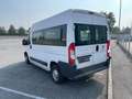 Fiat Ducato 35 3.0 CNG 9 POSTI Panorama Wit - thumbnail 5