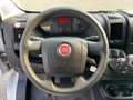 Fiat Ducato 35 3.0 CNG 9 POSTI Panorama Wit - thumbnail 8
