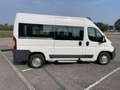 Fiat Ducato 35 3.0 CNG 9 POSTI Panorama Weiß - thumbnail 4