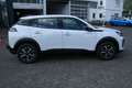 Peugeot 2008 Style 100PS Navigation, Kamera, Sitzheizung, PDC Weiß - thumbnail 5