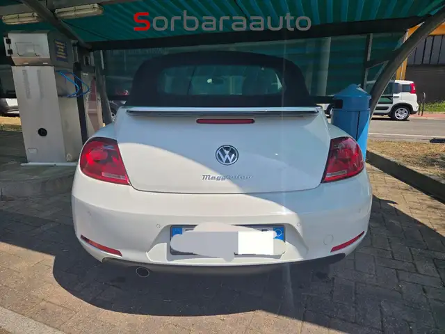 Volkswagen Beetle view 6