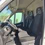 Fiat Ducato 33 MH2 2.3MJ FURG.PASSO MEDIO TETTO ALTO 3 P.-2020 Blanco - thumbnail 9