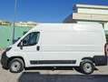 Fiat Ducato 33 MH2 2.3MJ FURG.PASSO MEDIO TETTO ALTO 3 P.-2020 Blanco - thumbnail 6