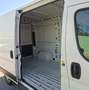 Fiat Ducato 33 MH2 2.3MJ FURG.PASSO MEDIO TETTO ALTO 3 P.-2020 Blanco - thumbnail 15