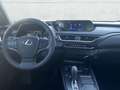 Lexus UX 300e Exe LED ASSI ACC KAM Leder NAVI Grau - thumbnail 11