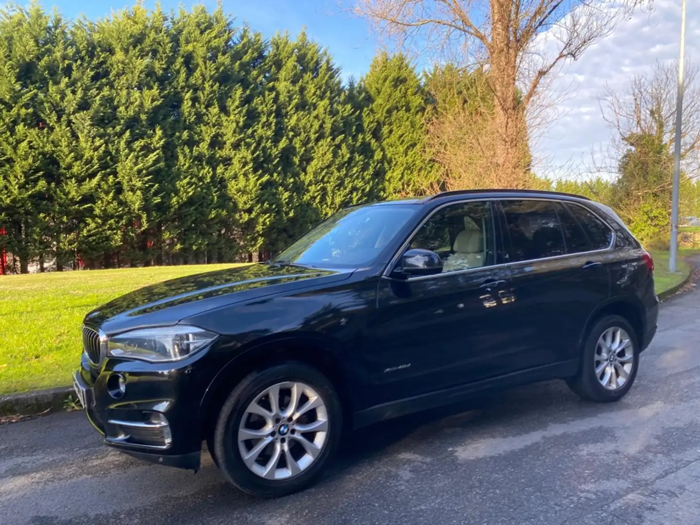 BMW X5 xDrive 40dA Azul - 1