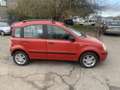 Fiat Panda 1.2 Emotion benzina - thumbnail 4