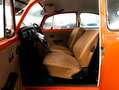Volkswagen Käfer 1200 L 50 PS  Walter Sammlung 18000 km Rot - thumbnail 15