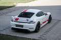 Porsche Cayman GT4 Sports Cup Edition Weiß - thumbnail 4