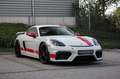 Porsche Cayman GT4 Sports Cup Edition Weiß - thumbnail 5