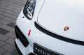 Porsche Cayman GT4 Sports Cup Edition Weiß - thumbnail 6