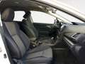 Subaru XV 1.6i Sport Plus CVT Blanco - thumbnail 11