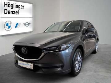 CD184 AWD Revolution Top SD "Leder weiss"