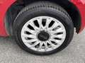 Fiat 500 1.3 Diesel 95CV E6 Neo. - 2017 Rosso - thumbnail 13
