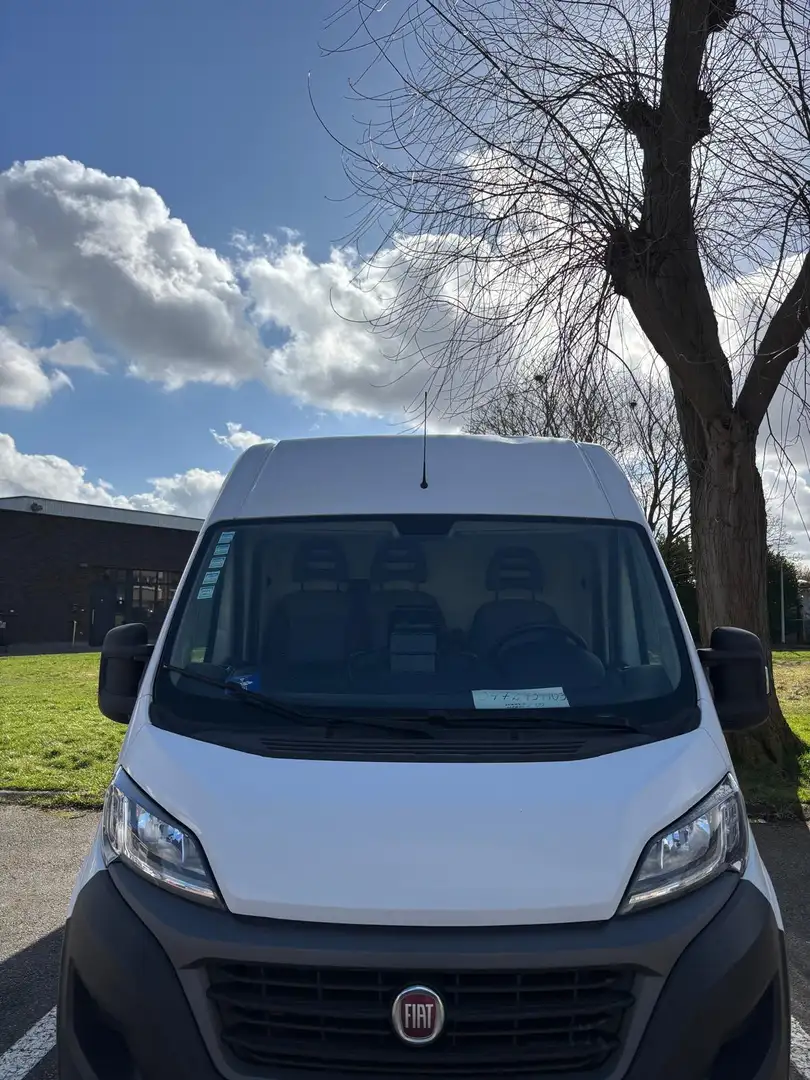Fiat Ducato L4H3 - 2