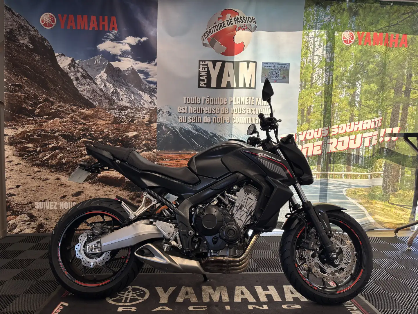 Honda CB 650 Schwarz - 1