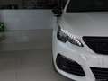 Peugeot 308 BlueHDi 130 S&S EAT8 SW GT Line Bianco - thumbnail 14