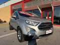 Ford EcoSport 1.0 ecoboost Titanium, CINGHIA SOSTITUITA! Argento - thumbnail 7