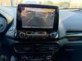 Ford EcoSport 1.0 ecoboost Titanium, CINGHIA SOSTITUITA! Argento - thumbnail 12