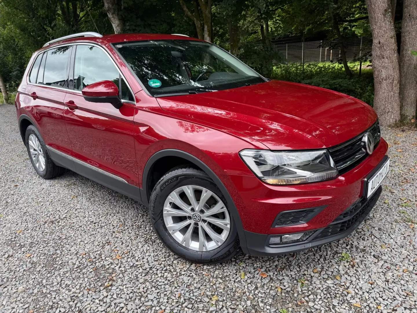 Volkswagen Tiguan BMT/Start-Stopp Automatik Navi Rot - 1