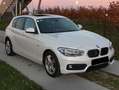 BMW 116 116d Sport Line Sport Line Weiß - thumbnail 8