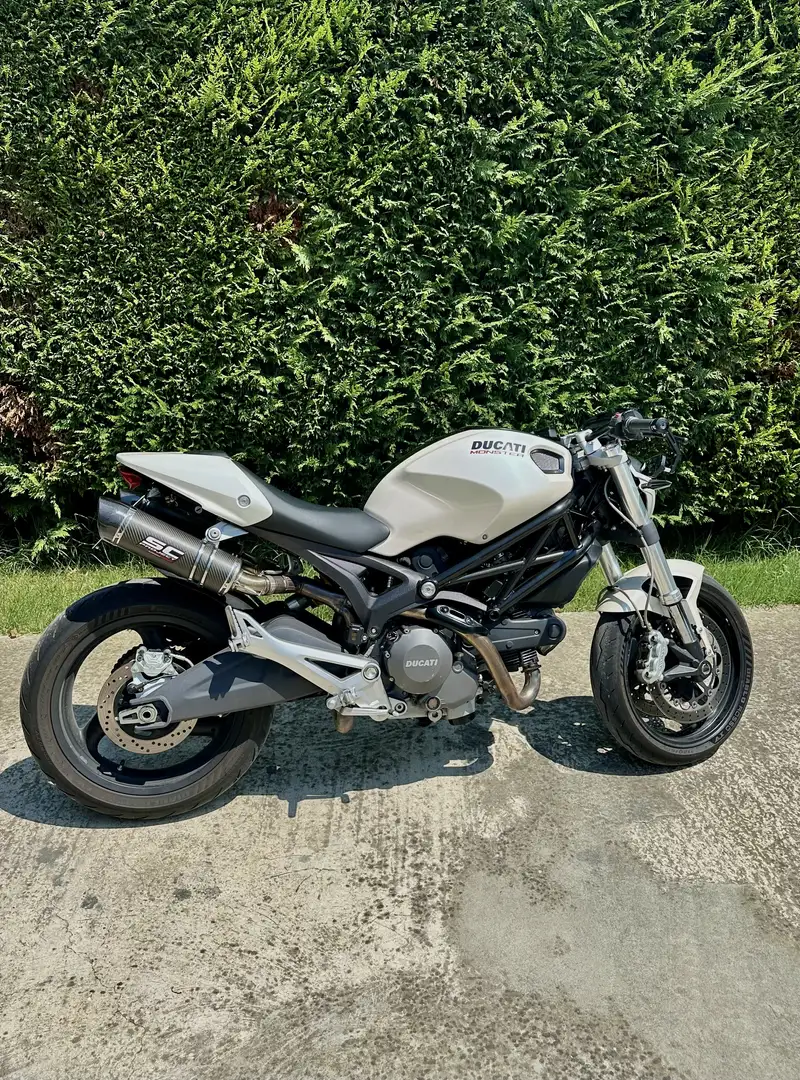 Ducati Monster 696 Plus - 2