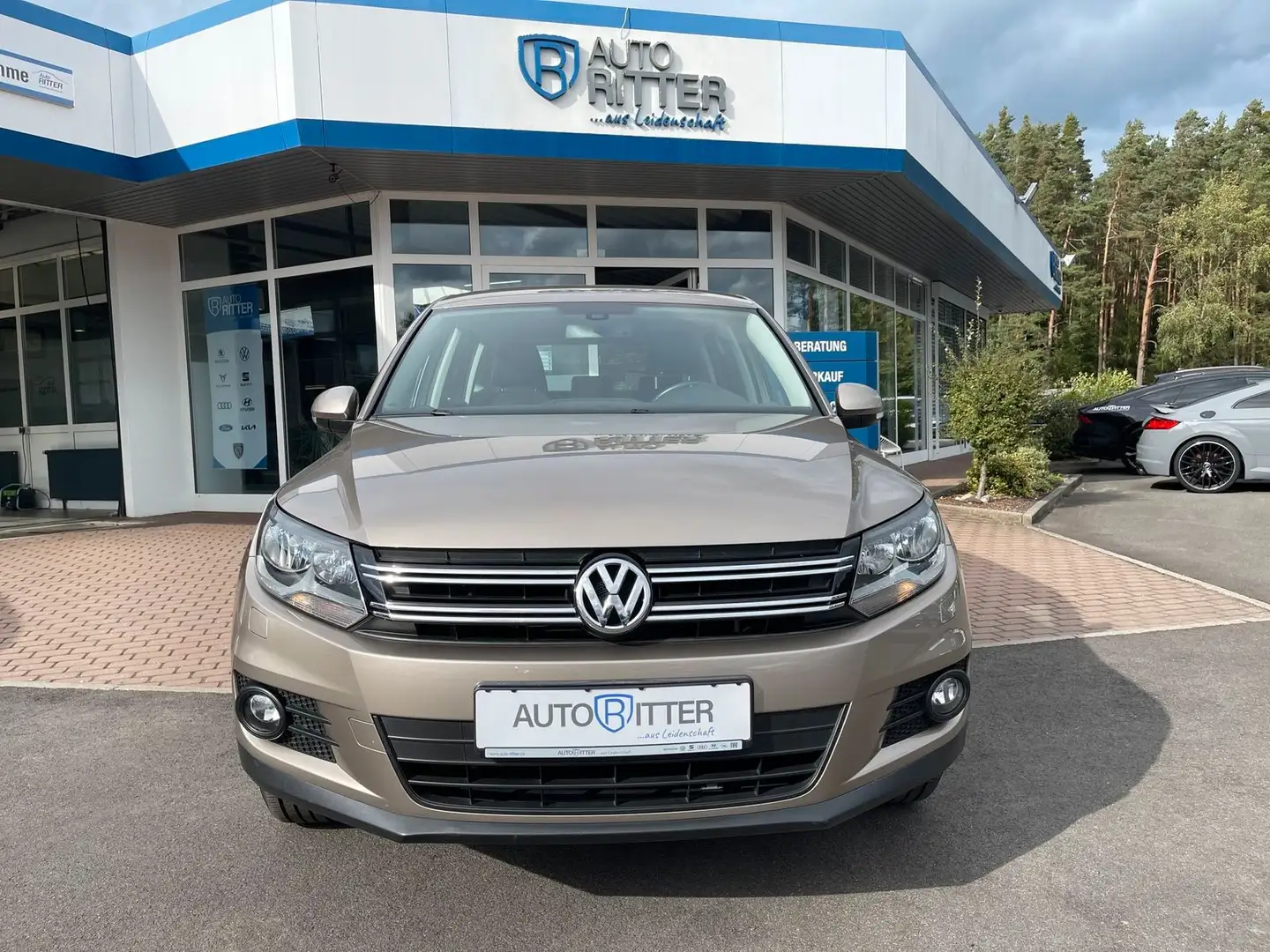 Volkswagen Tiguan 1.4 TSI SHZ+AHK+Klimaanlage Gelb - 2