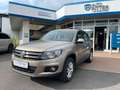 Volkswagen Tiguan 1.4 TSI SHZ+AHK+Klimaanlage Gelb - thumbnail 3