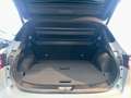 Nissan Qashqai 1.5 VC-T e-Power 205PS Tekna Premium Automatik Grau - thumbnail 24
